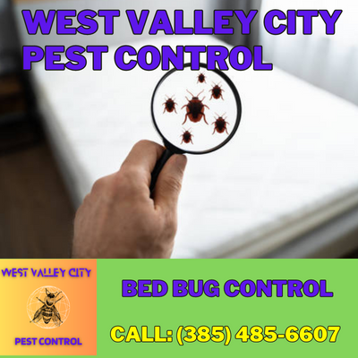 Bed Bug Control Services | West Valley City Pest Control - Eradicating Bed Bugs for a Restful Sleep