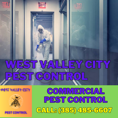 Commercial Pest Control | West Valley City Pest Control - Securing Your Business