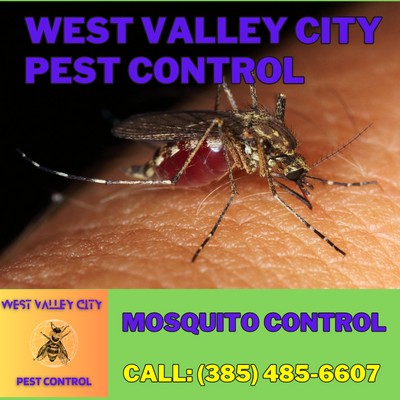 Mosquito Control Services | West Valley City Pest Control - Enjoy Your Outdoor Spaces Bite-Free