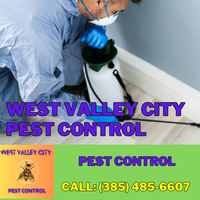Pest Control Services | West Valley City Pest Control – Protecting Your Home and Business